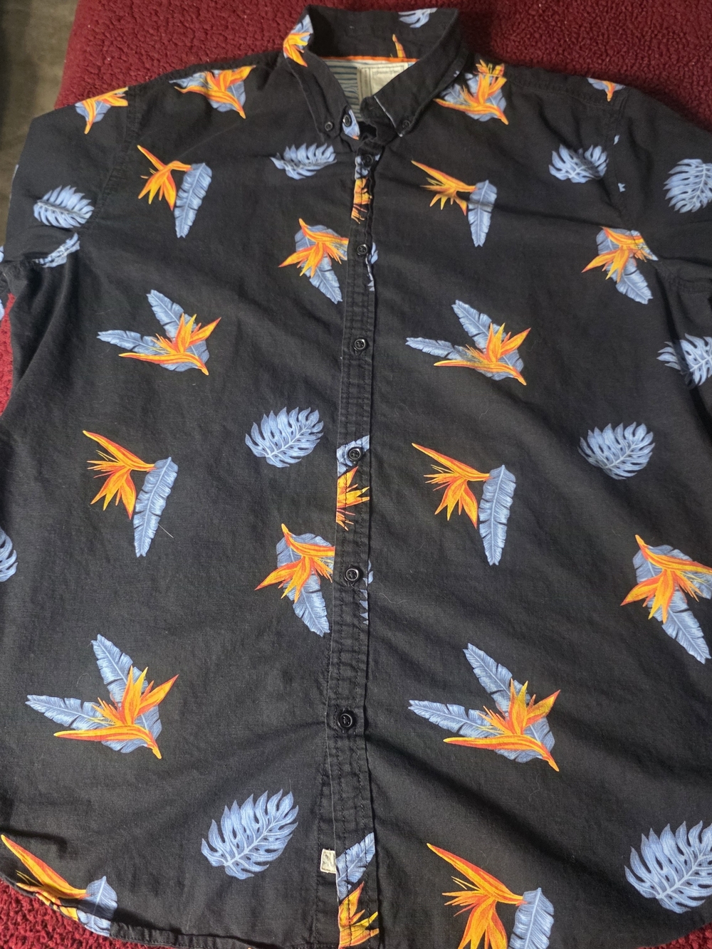 Alexander Julian Men's Tropical Floral Button-Up, Black, Short Sleeve, L/XL